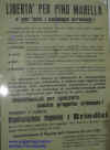 pino_libero.JPG (187360 byte)