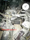 alce3.JPG (236424 byte)