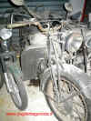 alce4.JPG (241310 byte)