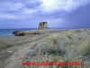 torre_testa.JPG (71681 byte)