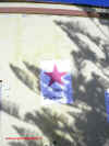 pierino_stella.JPG (76561 byte)